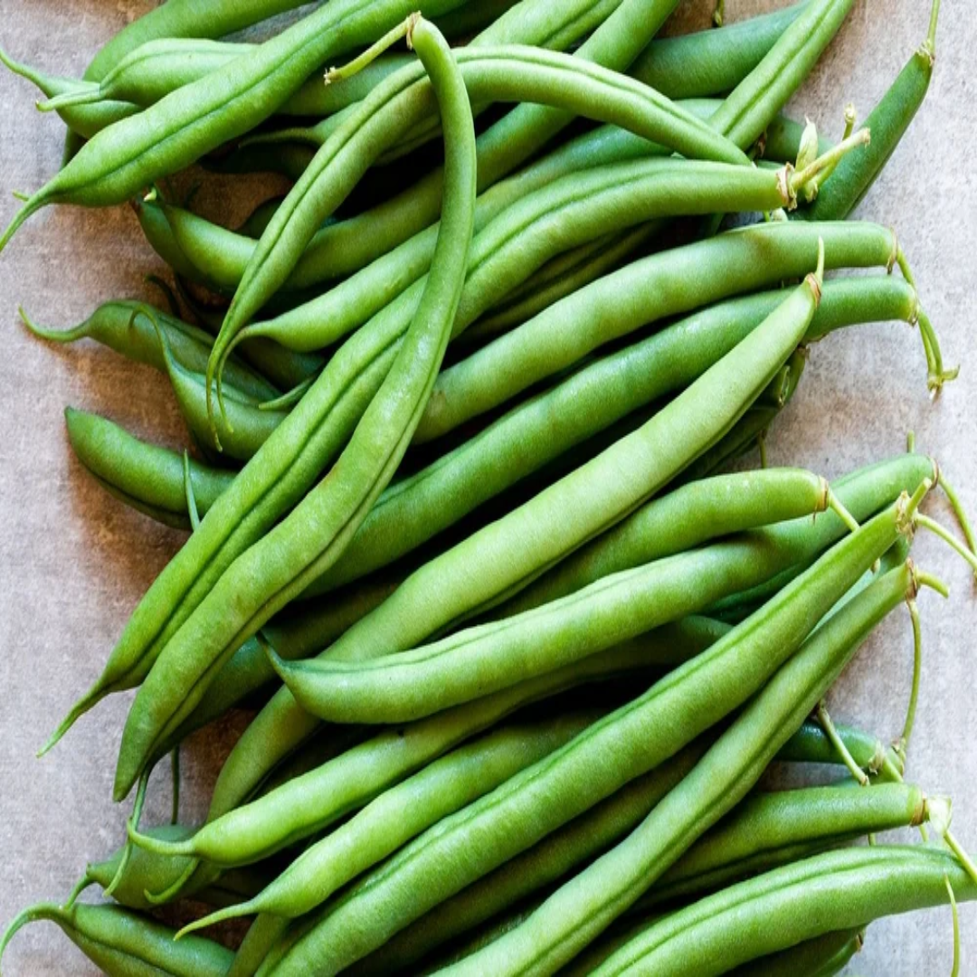 A Grade Green French Bean Supplier and Wholesaler – UAE